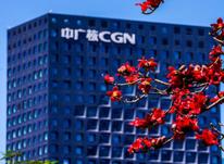 践行习近平法治思想，坚持运用法律语言，将股东管控意志依法合规延伸至境外，确保企业海外资产安全