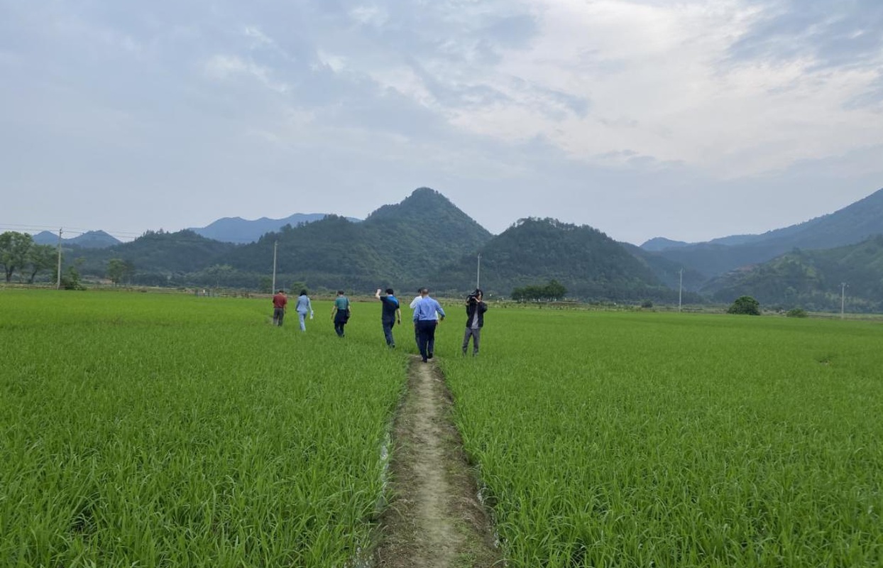 霞客行中那些动人瞬间