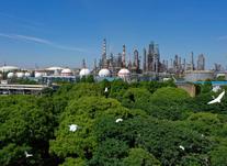 坚定不移打造法治央企 ?以高质量法治建设护航高质量发展