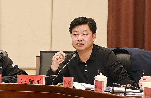 区政协委员汪碧刚发言(1035319)-20220425165440