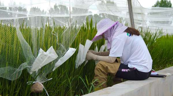 微信图片_20220508132116 微信图片_20220508132116