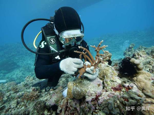 微信图片_20220508132122 微信图片_20220508132122