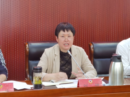 东城区政协党组副书记、副主席刘健汇报东城区政协贯彻落实中央、市委政协工作会议精神的进展情况