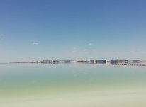 建构中国特色法人制度 ?全面深化法治央企建设