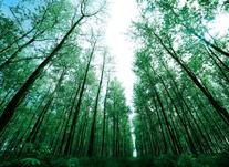 构建“五位一体”大风控体系 ?引领保障中国纸业高质量发展