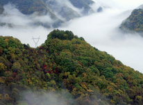 以更高合规管理水平助力法治央企建设转型升级