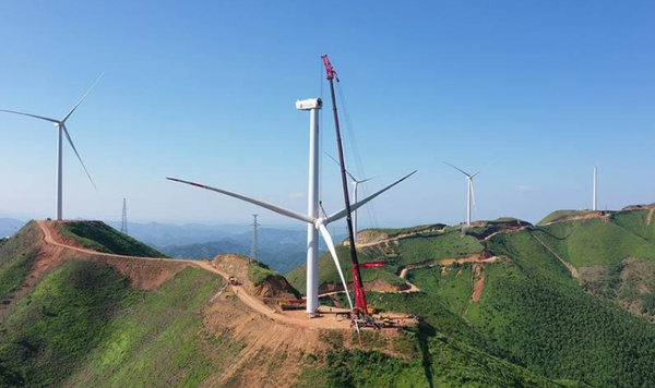 微信截图_20220719023920