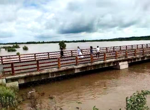 微信截图_20220720065333