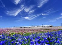 法治央企“一体两翼”建设笔谈