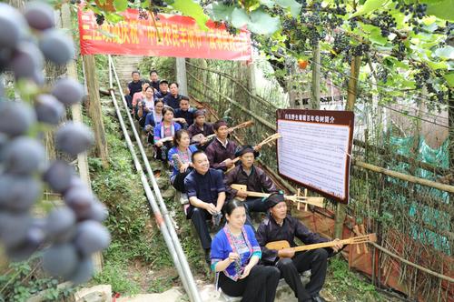 QQ截图20220901171637