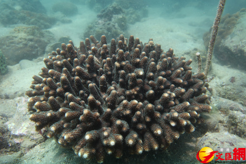 6321ccbbe4b01ef739cedf71_v1 6321ccbbe4b01ef739cedf71_v1