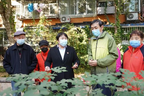 微信图片_20221102141419