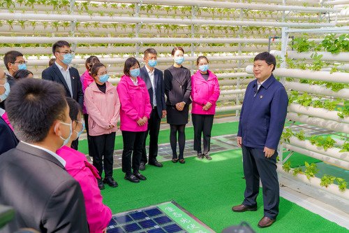 （二十大代表在基层）王传喜：走在乡村振兴(1487429)-20221114084814