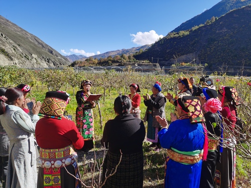 微信图片_20221123074126