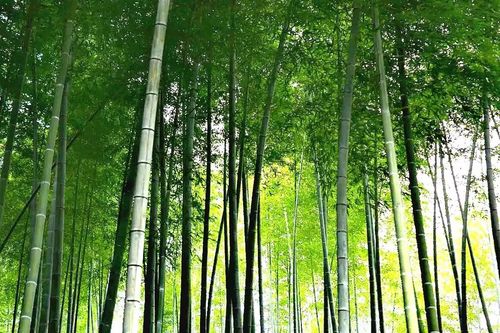 微信图片_20221126205647