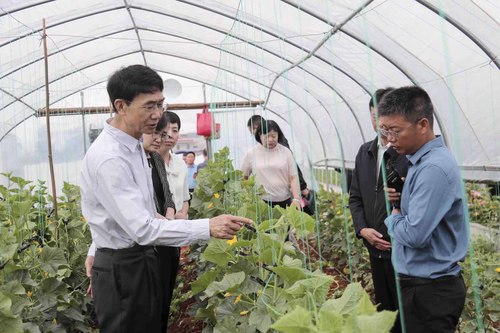 1：云南省政协调研组在宣威市调研(1506199)-20221128163050