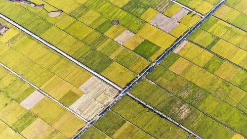 微信图片_20230105051351