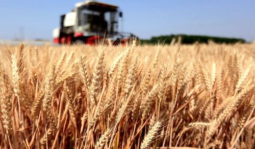 微信图片_20230105051343