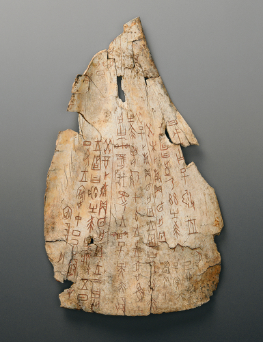 （第二时间）(分离图)8afd36644(1594389)-20230107075329