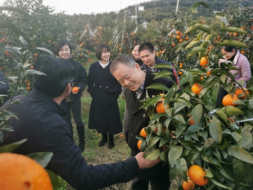 微信图片_20230112085141