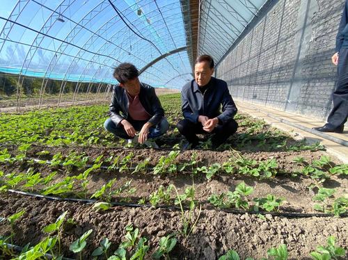 陈萌山在基层调研现场(1629116)-20230120094733