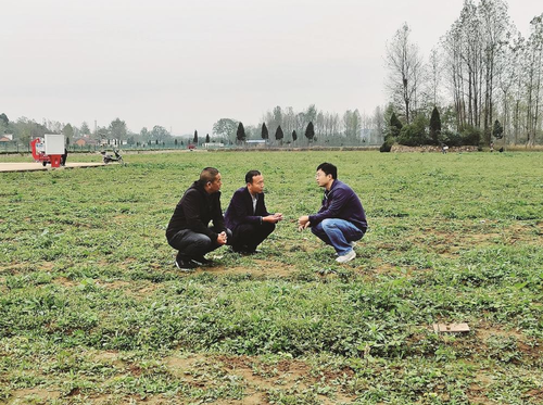 微信截图_20230309094502