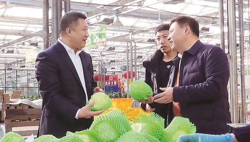 微信截图_20230309094952