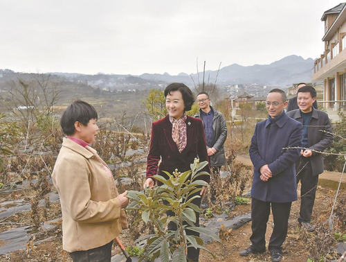 微信截图_20230309095750