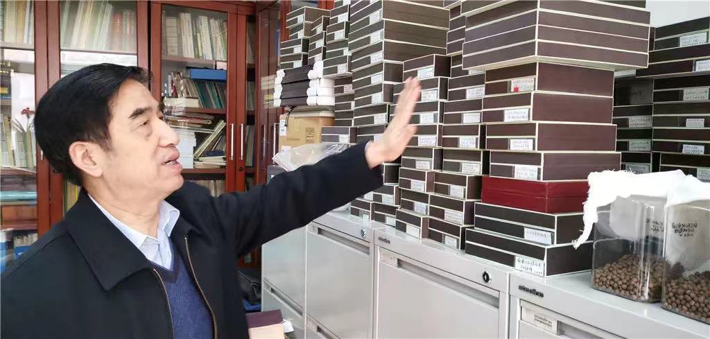 这326种天敌昆虫新物种，都姓“杨”！