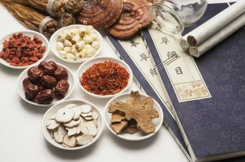 微信图片_20230609095219