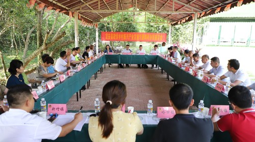 5：定安县政协：打造“一流政协”队伍，开(2756109)-20230807095442