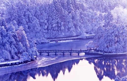 微信图片_20231019182138