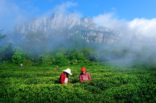 微信图片_20231019182201