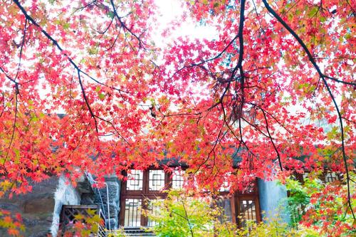 360截图20231019180931334