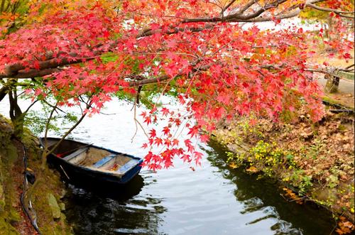 360截图20231019184040188