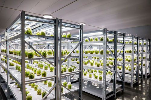 微信图片_20231122135711