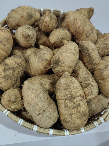 交易中心4 交易中心4