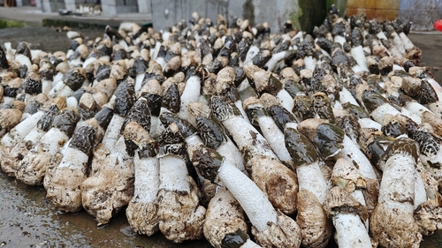 微信图片_20231212161852