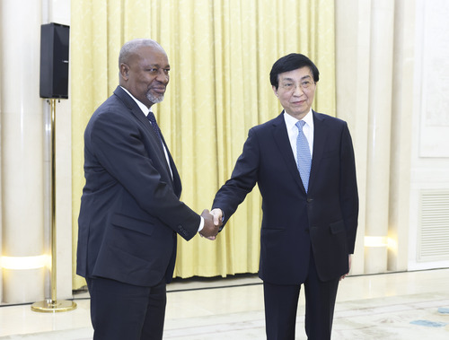 王沪宁会见卢旺达爱国阵线干部考察团(3808285)-20240130210456