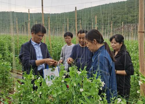 QQ截图20240302091059