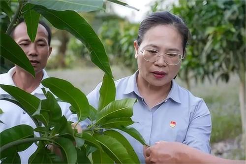 11版头条配图(4275501)-20240409095028