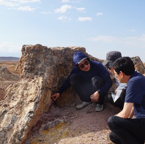 0517 施光海配图(4557415)-20240517100520(1)