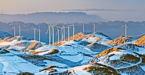 1310776840_17172071820641n