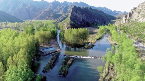 微信图片_20240712181005