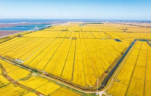 微信图片_20240716170248