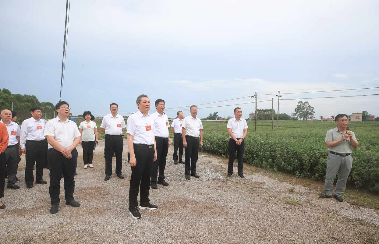 广西壮族自治区政协常委视察团围绕“深化区域合作，推动广西中医药产业高质量发展”开展监督性视察 