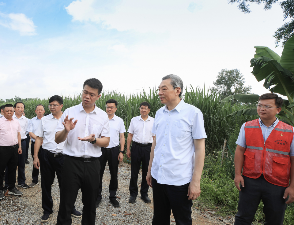 广西壮族自治区政协主席孙大伟围绕巩固拓展脱贫攻坚成果同乡村振兴有效衔接工作开展调研