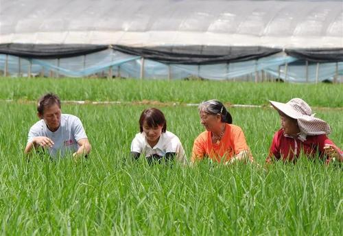 （8.7-上1）一粒粒米带来的幸福生活((5113013)-20240807094450