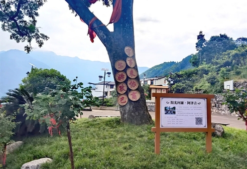 理响中国·讲好“中国式商量”故事丨“尔姆孜巴”，村民们纷纷点赞！