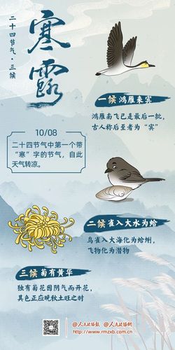 微信图片_20241008105613